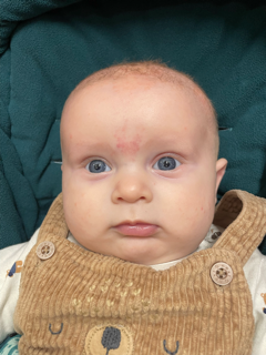 Profile picture of sjjb